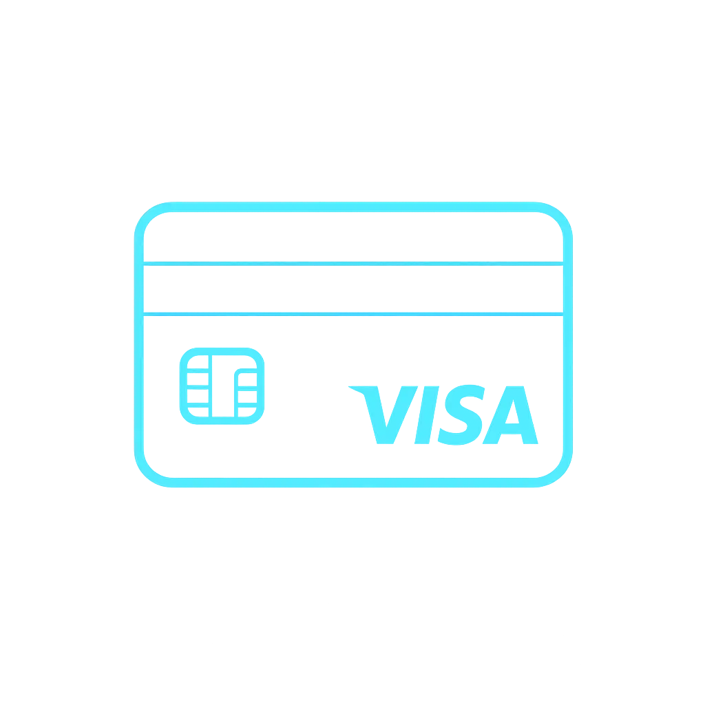Visa card icon